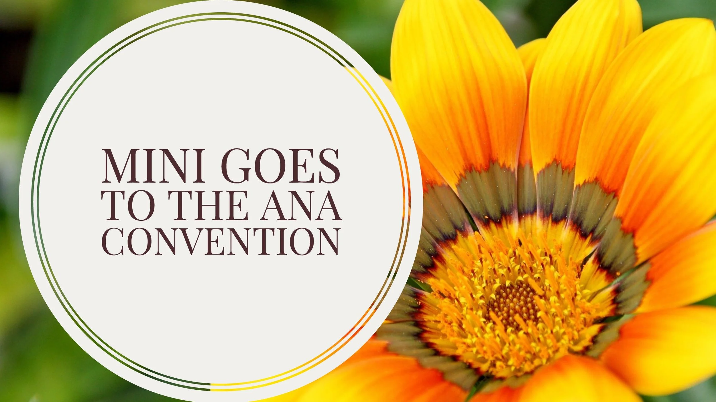 Mini Goes To The Australian Nanny Association Convention