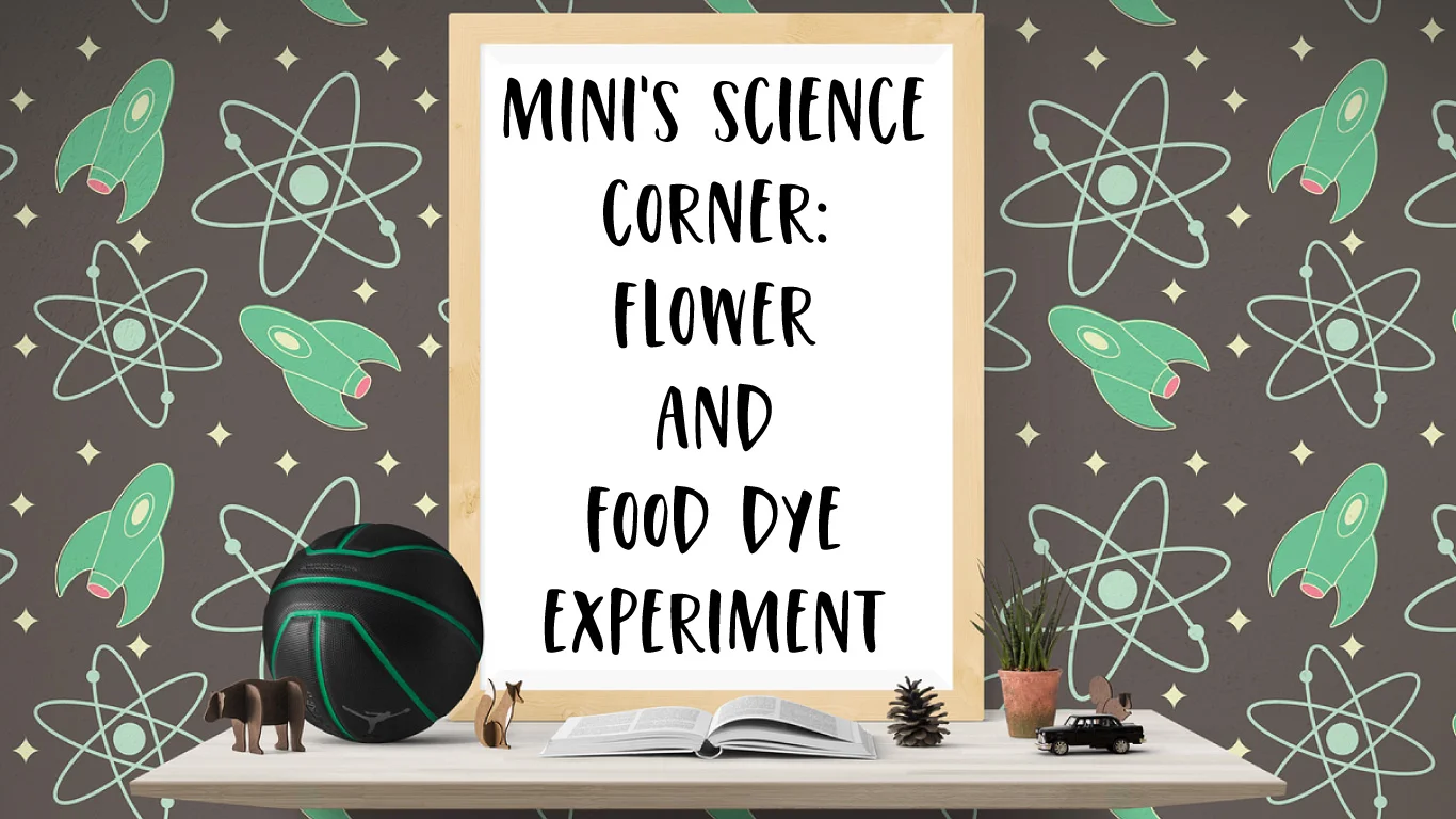 Mini’s Science Corner: Exciting Flower &amp; Food Dye Experiment for Kids