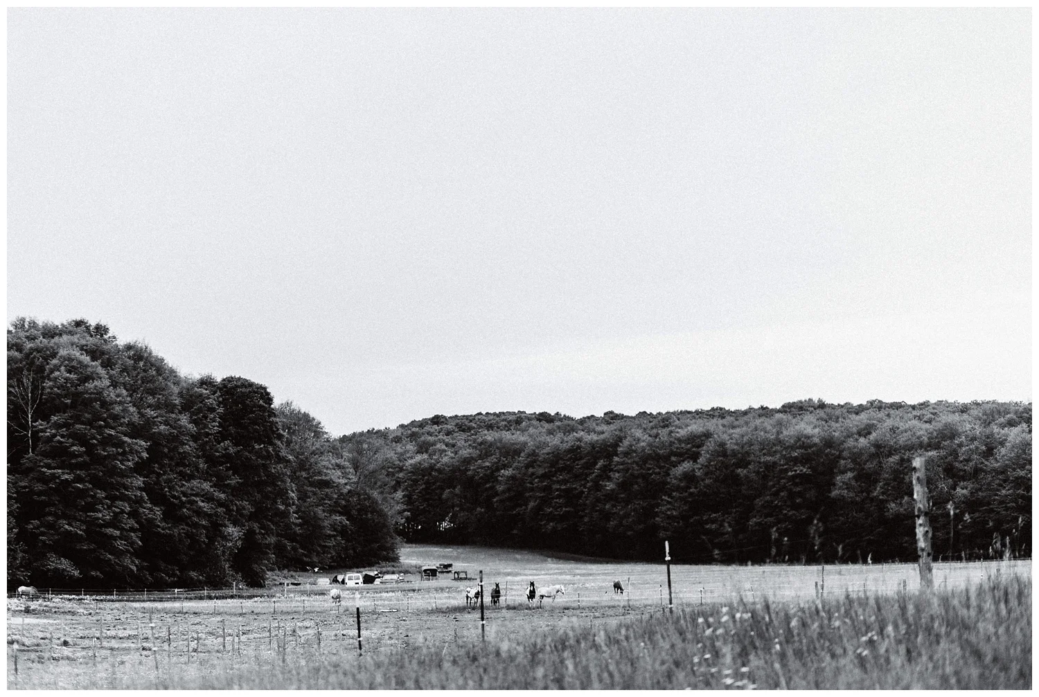 Northern_Michigan_Vineyard_Wedding_Nashville_Wedding_Photographer0093.jpg