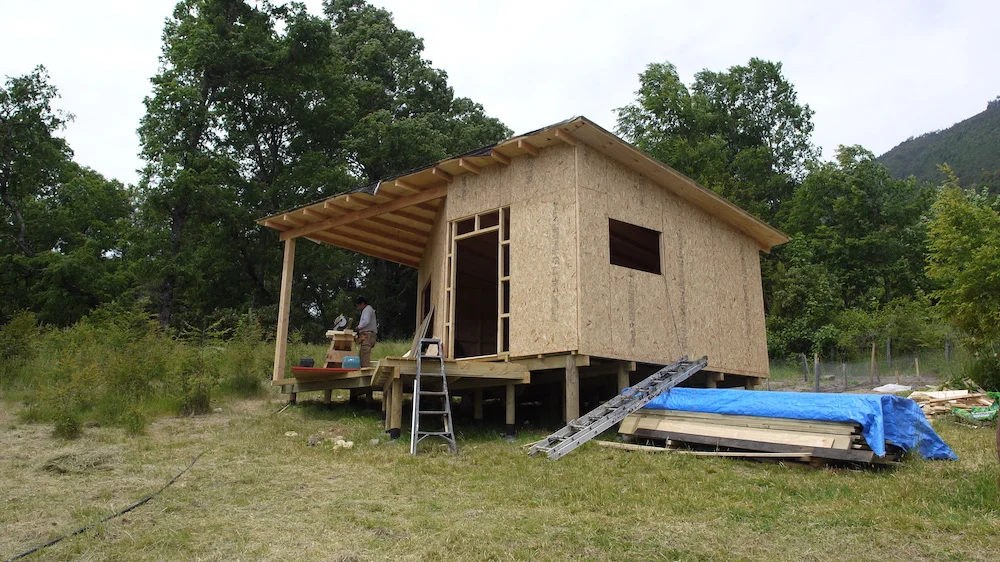 Estudio Huepil y sus avances.