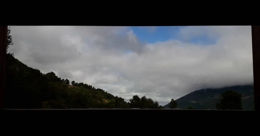 El Oto&ntilde;o ya se puede ver por las ventanas del estudio. Despu&eacute;s de un verano donde floreci&oacute; la Quila, las cuncunas arrasaron con las hojas de Tepas y Trevos, florecieron todos los Ulmos y Array&aacute;nes. No sabemos que es lo que