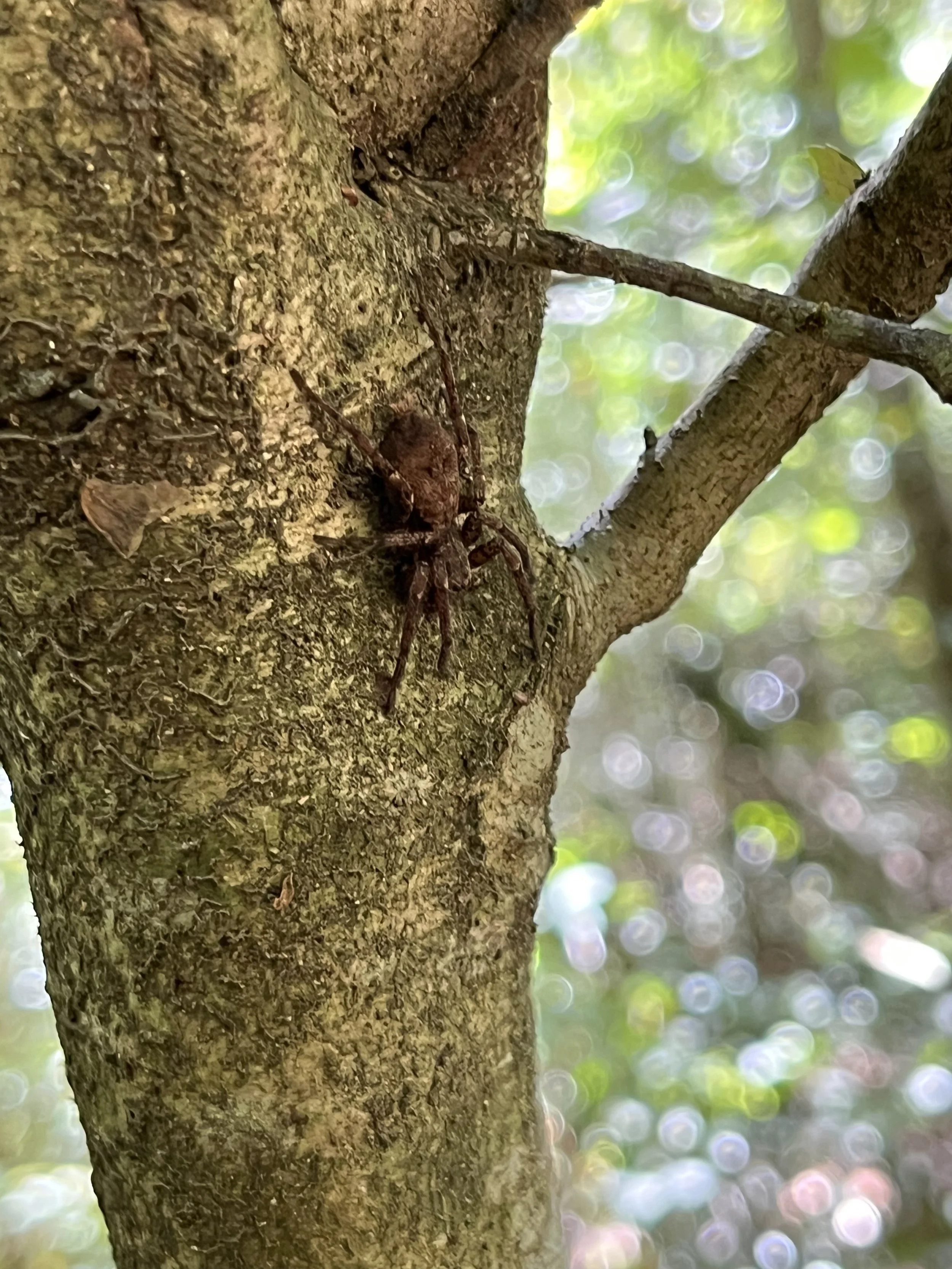 IMG_2269.jpeg