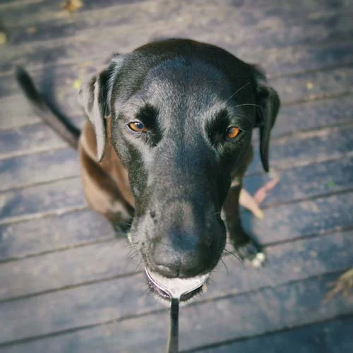 Nelly-Eating-INSTA-TINY.jpg