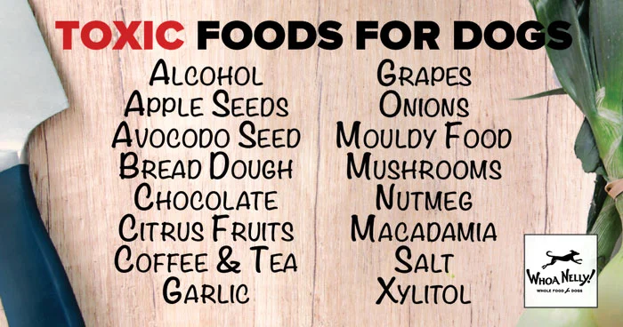 Toxic Foods Not For Dogs. Whoa Nelly! Brisbane's Best Whole Raw Dog Food
