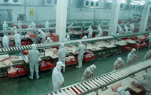 China-Factory.jpg