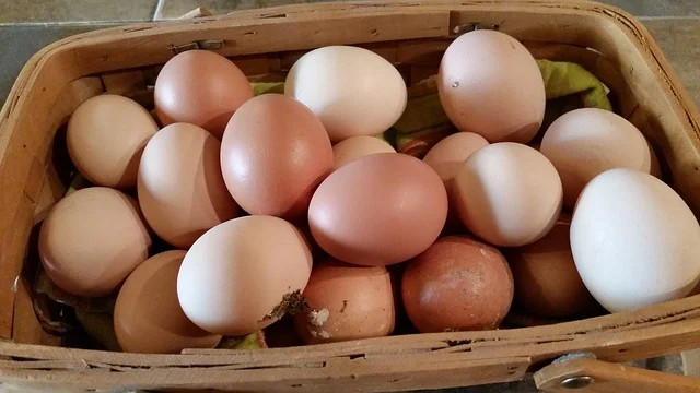 farm-fresh-623251_640.jpg