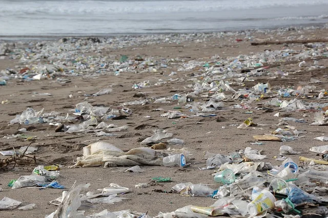 garbage-2369821_640.jpg