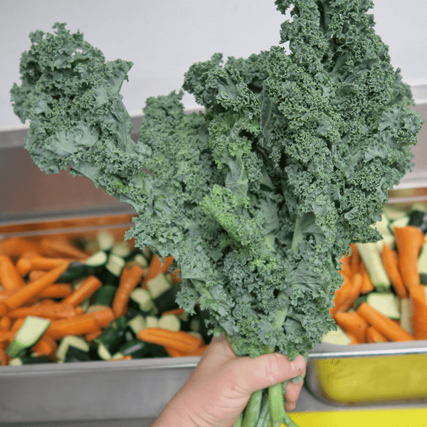 Organic-Kale-600px.png