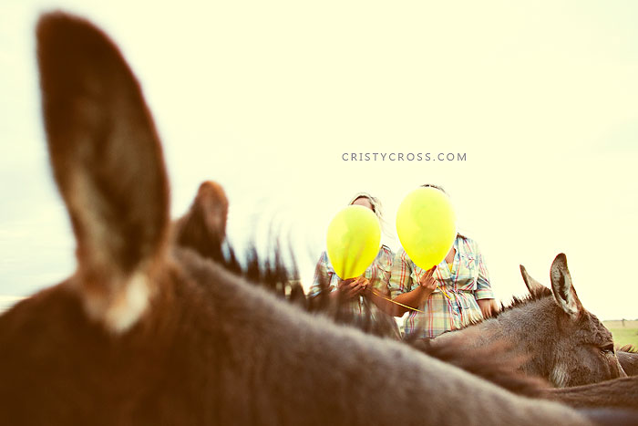 boermsma-senior-session-taken-by-photographer-cristy-cross-2010_2.jpg