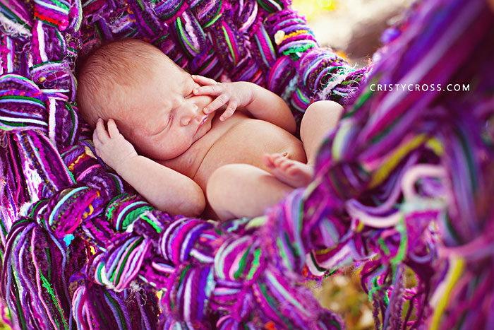 baldwin-newborn-session-taken-by-clovis-nm-portrait-photographer-cristy-cross-1.jpg