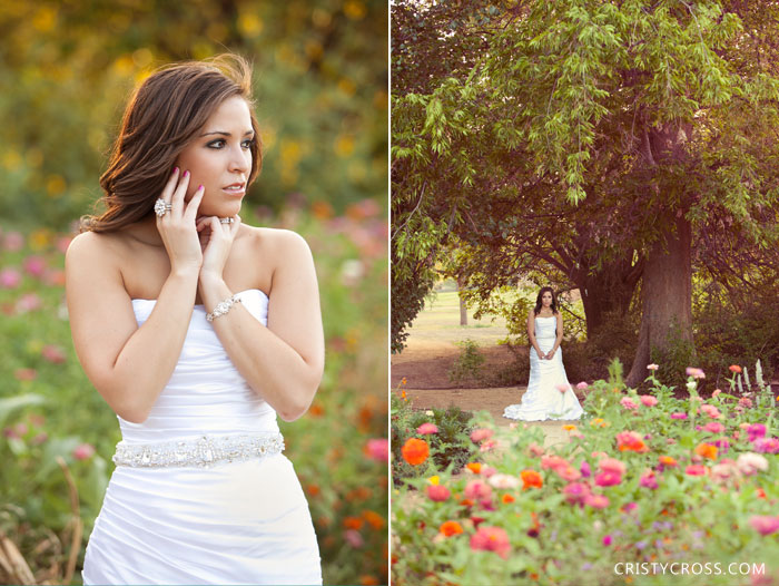 overton-hotel-lubbock-texas-bridal-shoot-taken-by-clovis-wedding-photographer-cristy-cross-2011_12.jpg