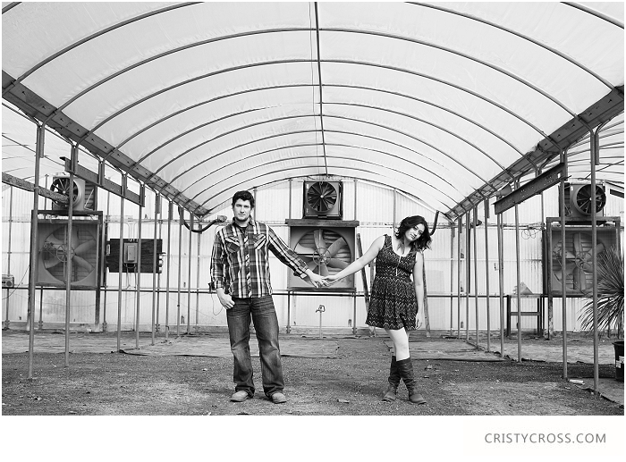 Zaikowskis-Cotton-Field-Clovis-New-Mexico-Family-Photo-Shoot-taken-by-Clovis-Portrait-Photographer-Cristy-Cross__104.jpg