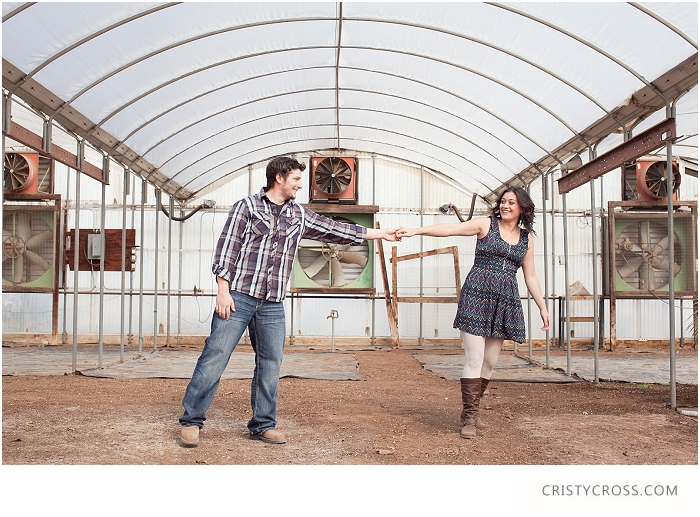 Zaikowski's Cotton Field Clovis New Mexico Family Photo Shoot — Cristy