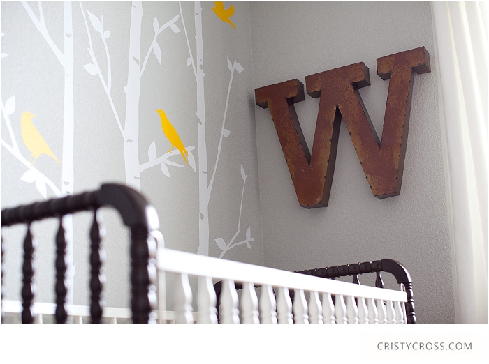 William's Woodland Nursery Theme — Cristy Cross Photography