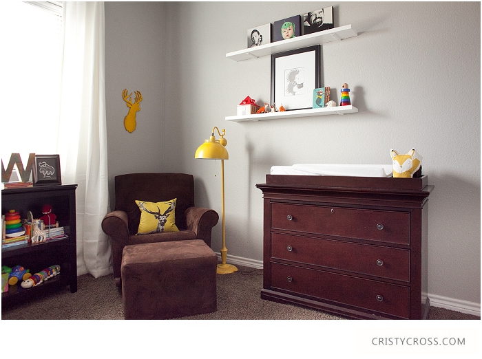 Cristy-Cross-Photography_baby-room_011.jpg