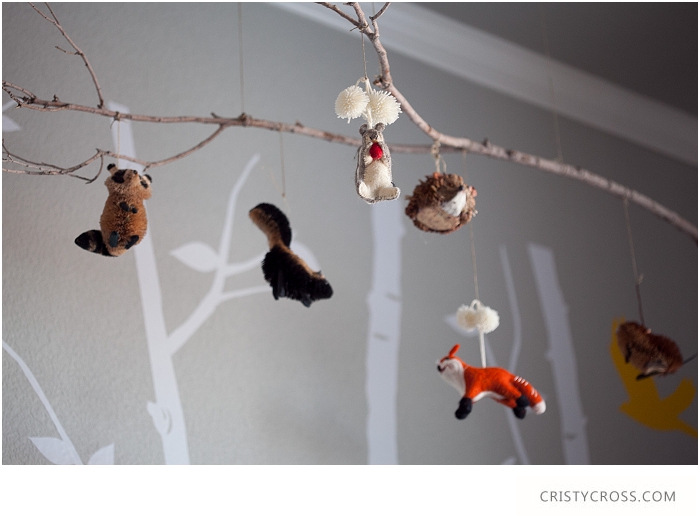 Cristy-Cross-Photography_baby-room_015.jpg