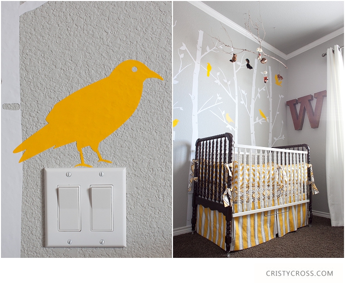 Cristy-Cross-Photography_baby-room_021.jpg