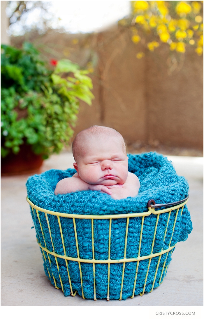 Holden-Scarbroughs-newborn-session-in-Clovis-New-Mexico-taken-by-Portrait-Photographer-Cristy-Cross__029.jpg