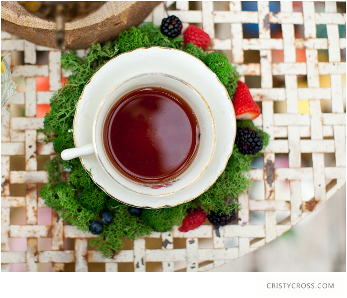 Alice-In-Wonderland-themed-shoot-taken-by-Clovis-Wedding-Photographer-Cristy-Cross_068.jpg