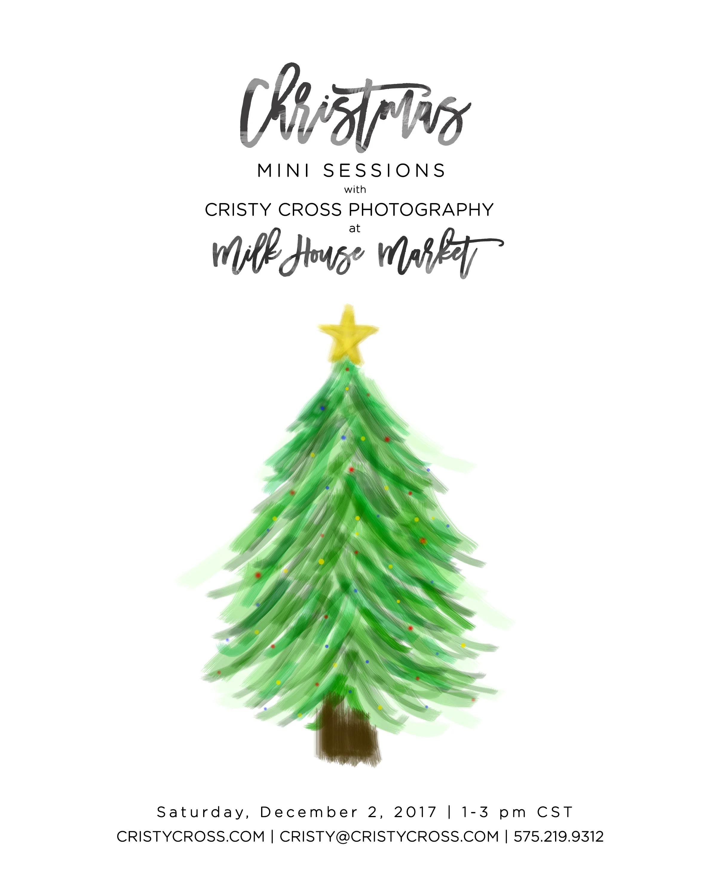 christmasmini sessions2017milkhousemarket.jpg
