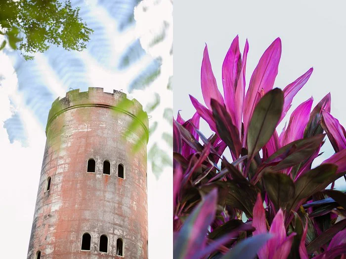 Puerto Rico Photographs with Cristy Cross Photography_0014.jpg
