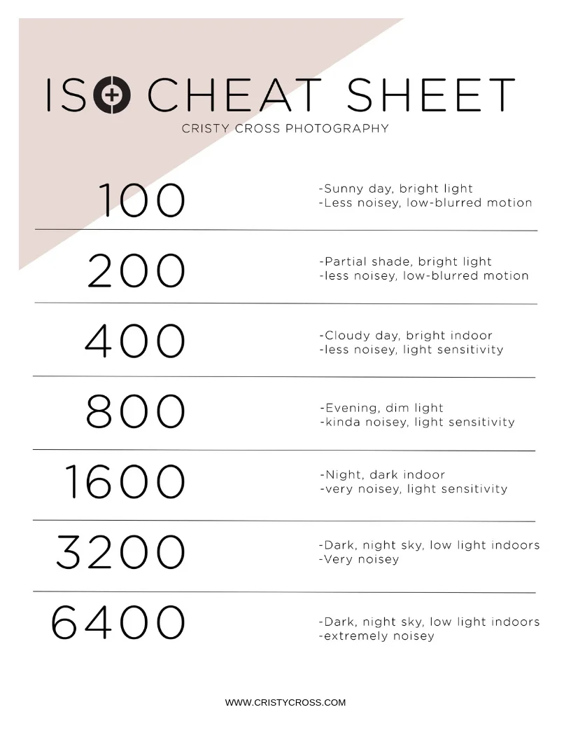 ISO cheat sheet.jpg