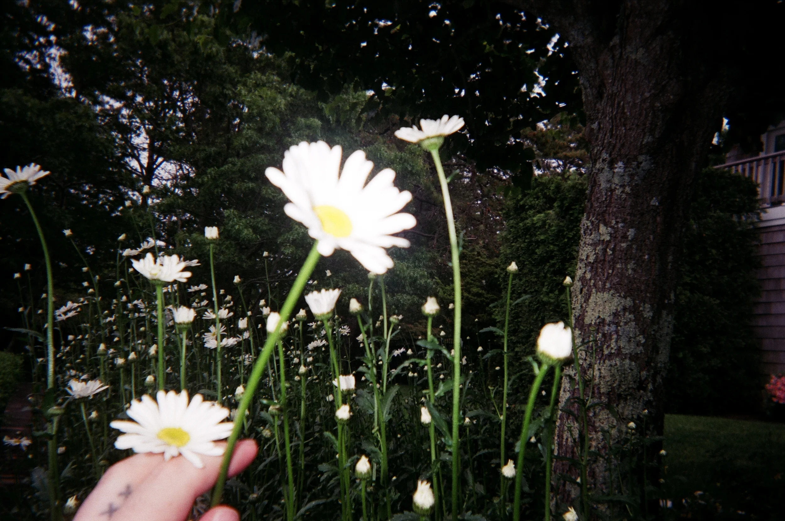 05550011.JPG