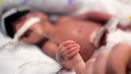 Juniper on the day she was born. Photo by Cherie Diez.