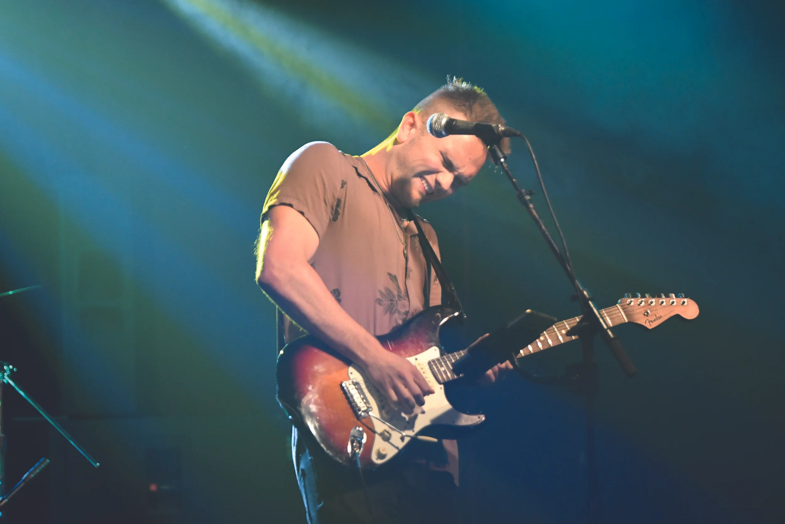 Lazy Chamelon (245).JPG