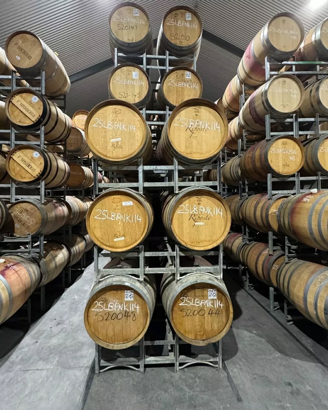 Adam has been checking in on our pinot noir barrels and making sure they're all safe and sound before tucking them away for winter. 

Our pinot's spend between 8-11 months in a mixture of new and used French oak&nbsp;🍷 

#winerydays #pinotnoir #adel