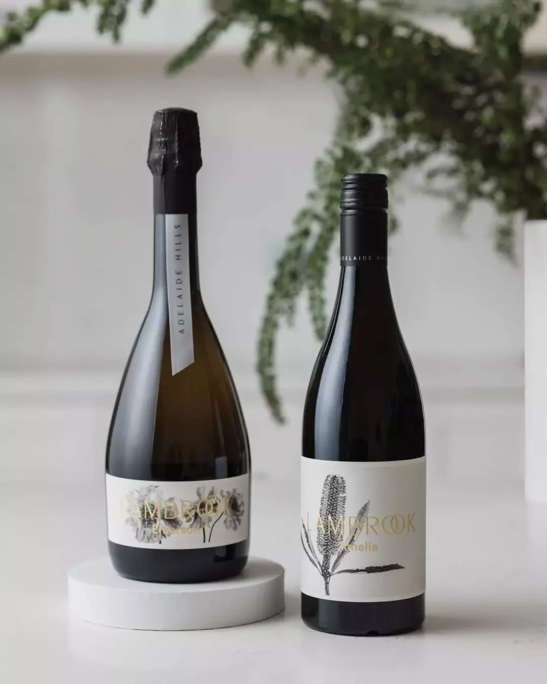 Our Flower wines are only made in exceptional vintages. Named after our girls, the &lsquo;why&rsquo; in everything we do ❤️

#celebratewithlambrooke #lambrookwines #adelaidehillswine #familybusiness