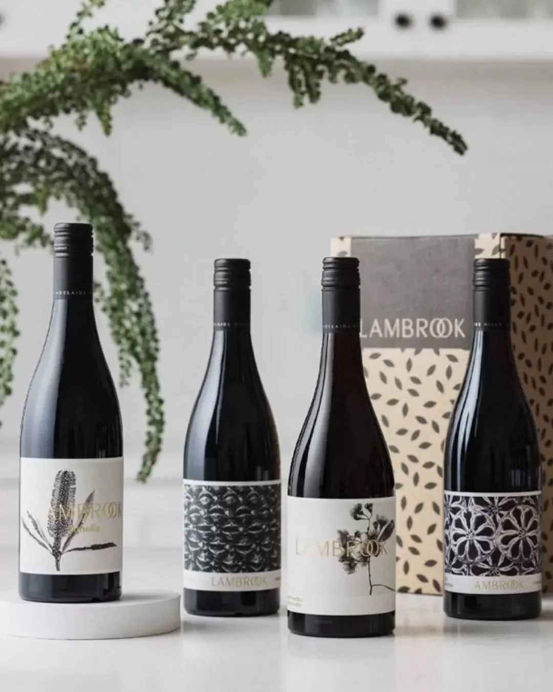 Our favourite cool climate reds in a convenient four pack! ❤️🍷

Receive a bottle each of our Amelia Reserve Pinot Noir, Plant Pinot Noir, Seed Pinot Noir and Seed Shiraz. 

👉 shop online via link in bio.

#winterwarmers #lambrookwines #adelaidehill
