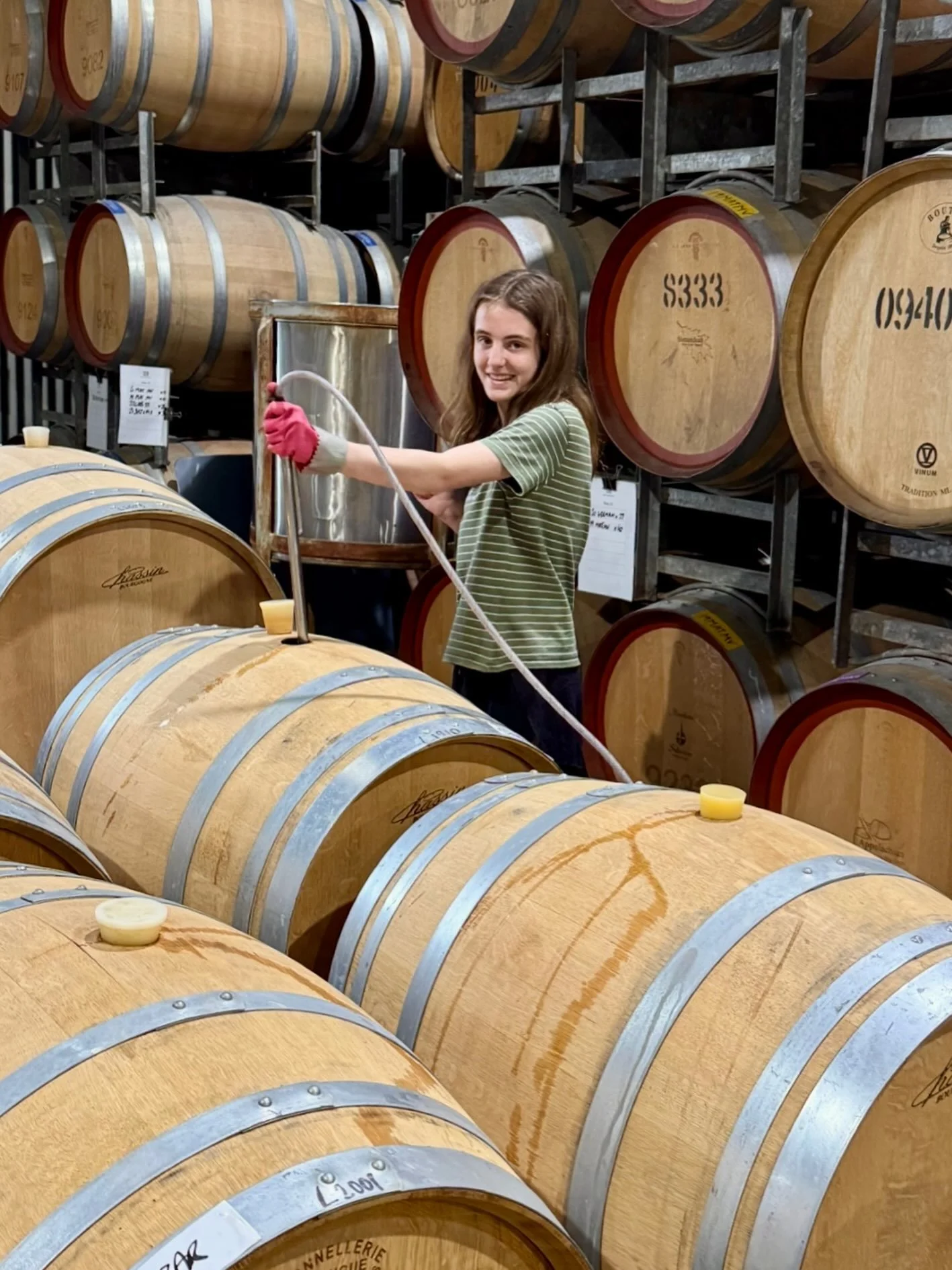 School holidays = all hands on deck 🙌
Giving the 2026 Seed Chardonnay its final stir 🥄🍇

#adelaidehillswine #familybusiness