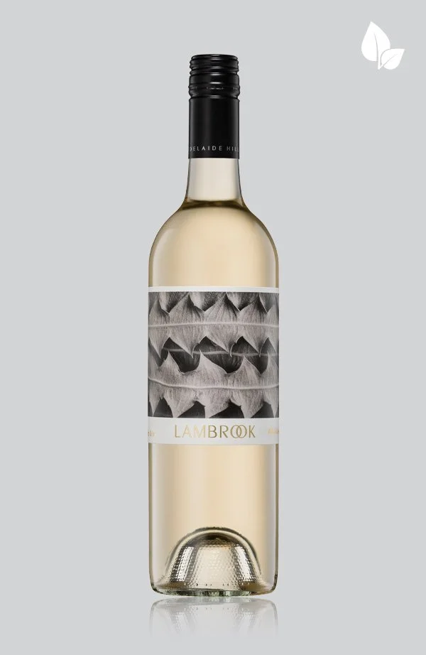 2024 Seed Pinot Gris 12pk