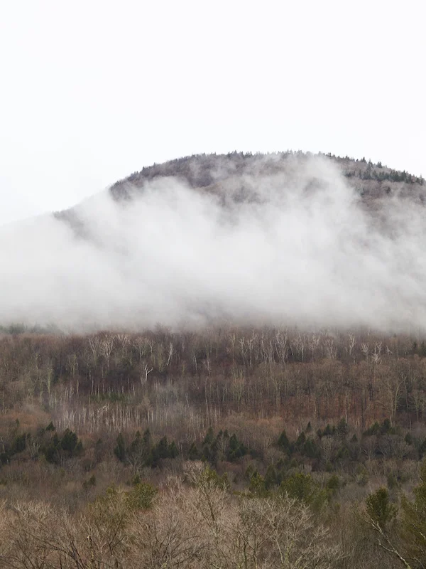 Scribner's_Lodge_Views_013 copy.jpg