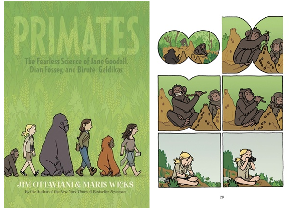 primates.png
