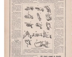 positions of hands, 1910.jpg