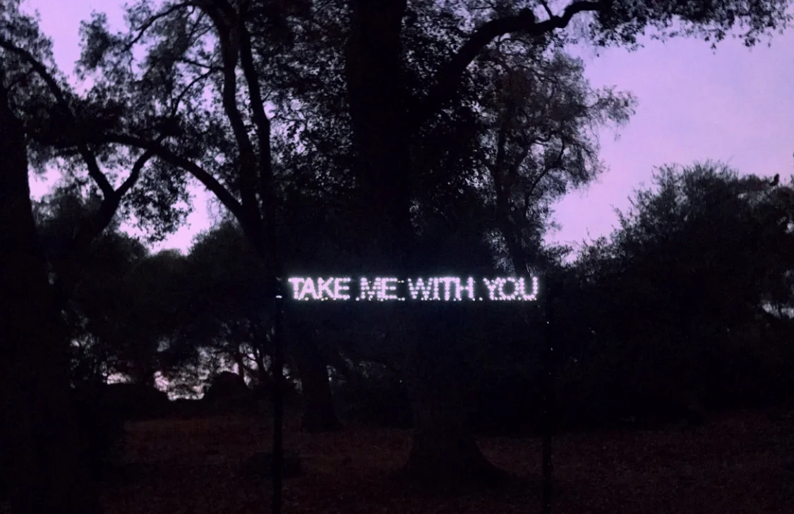 TAKE ME WITH YOU/LLÉVAME CONTIGO, 2018 Wood, aluminum, string lights ESCONDIDO, CA COLLABORATION WITH MARINA GRIZE