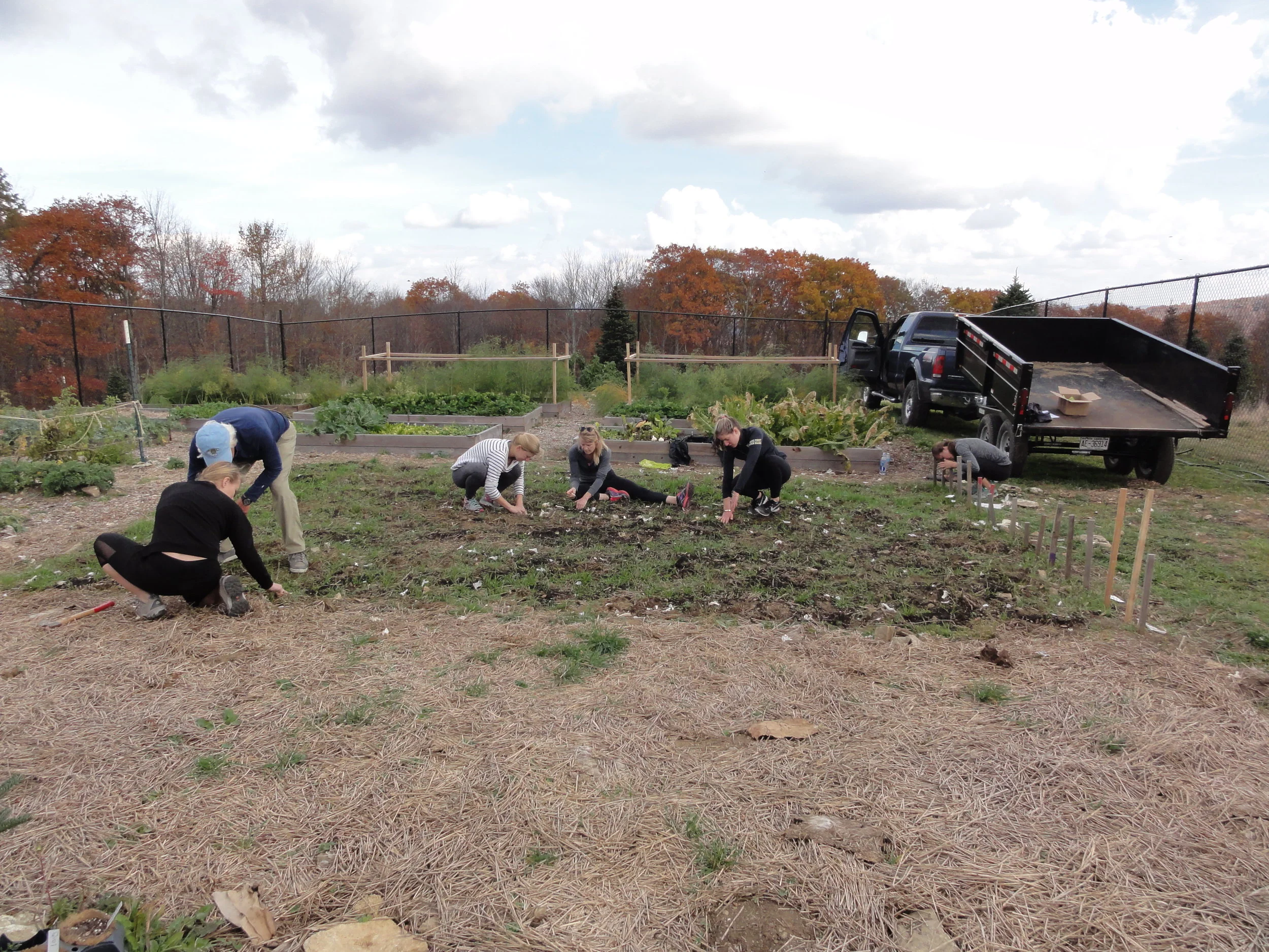 Ideal for planting next spring's Garlic and