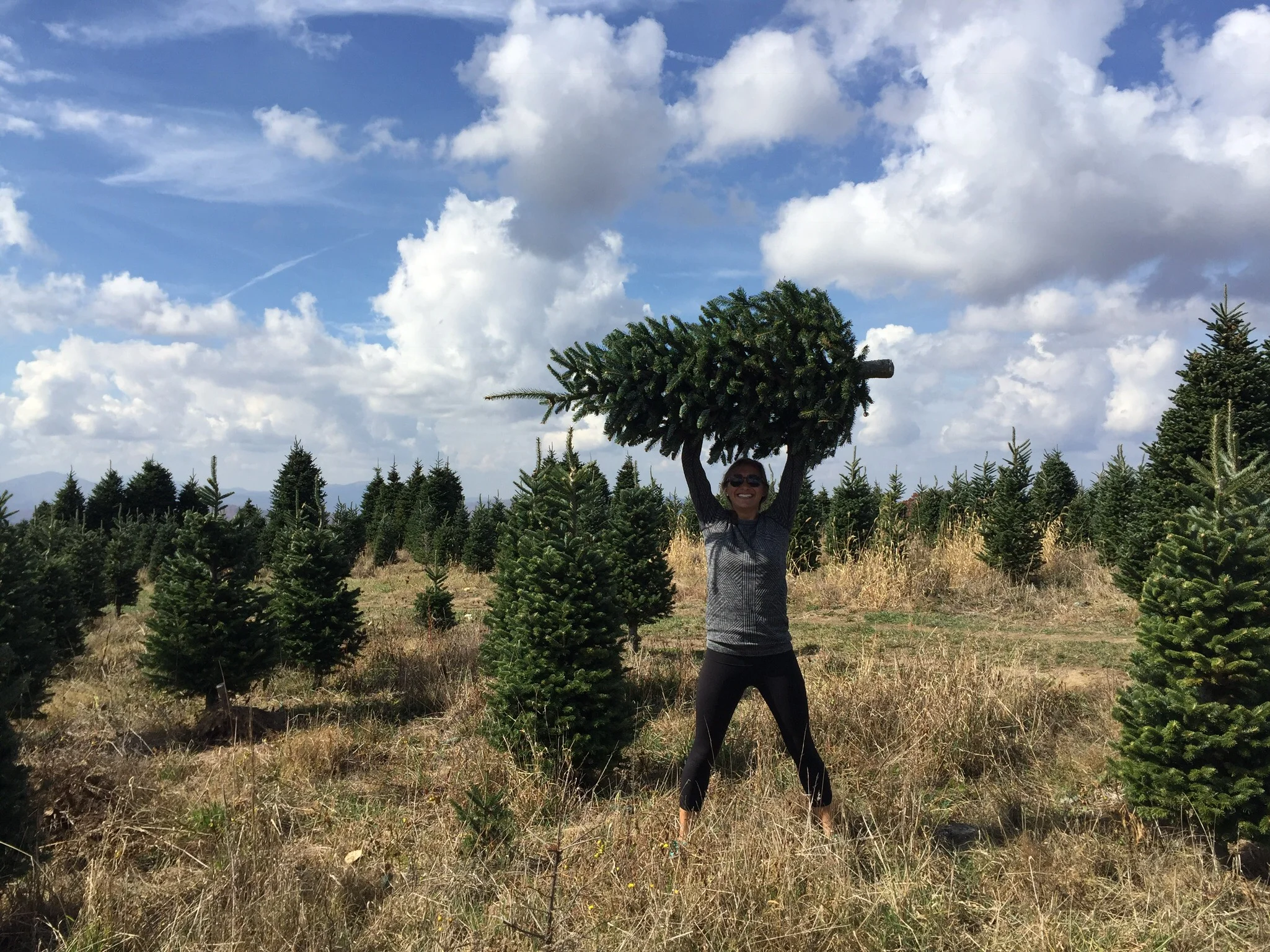 cutting a tree for the journey ahead or 