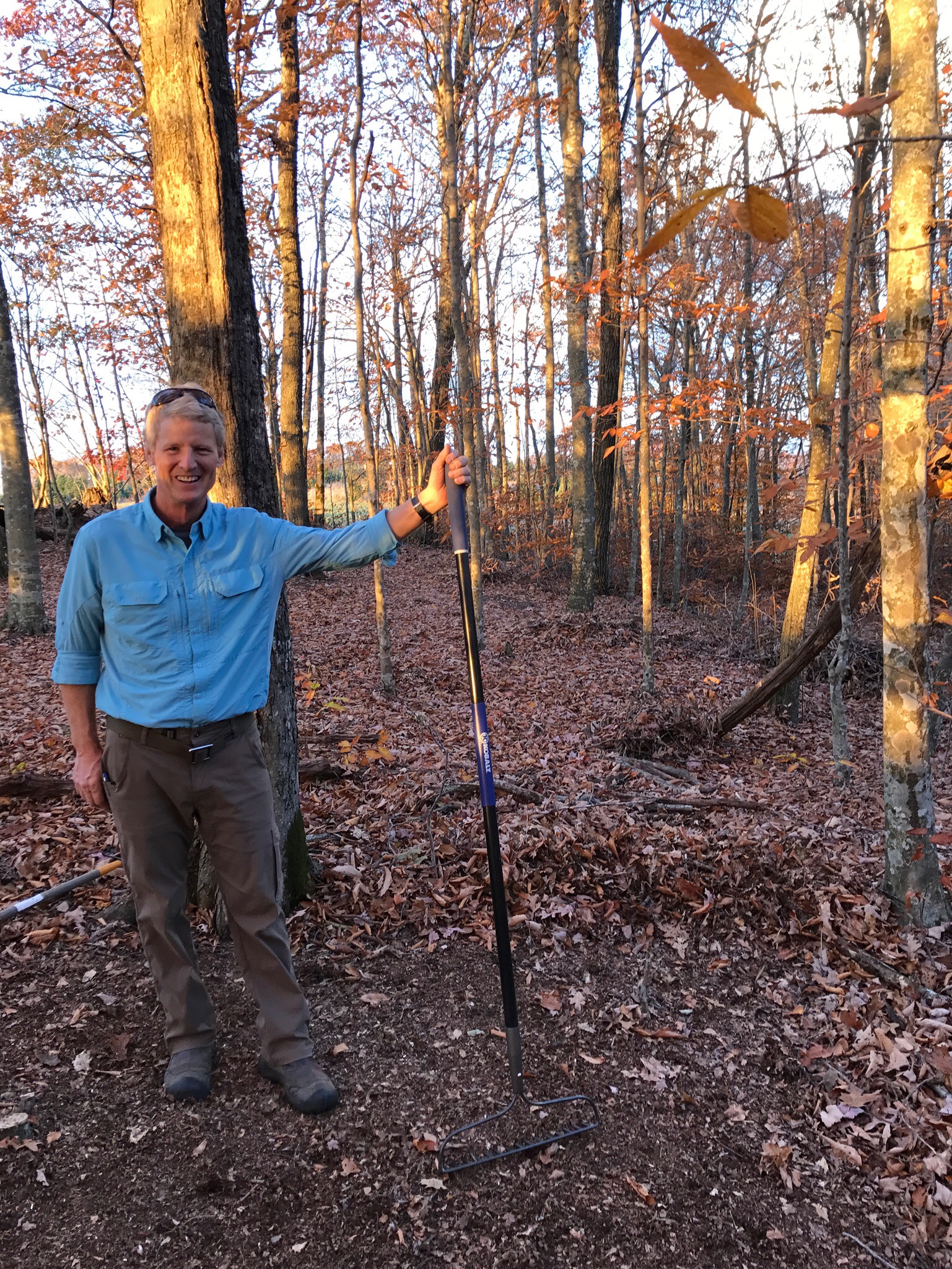 planning a garden in the woods.