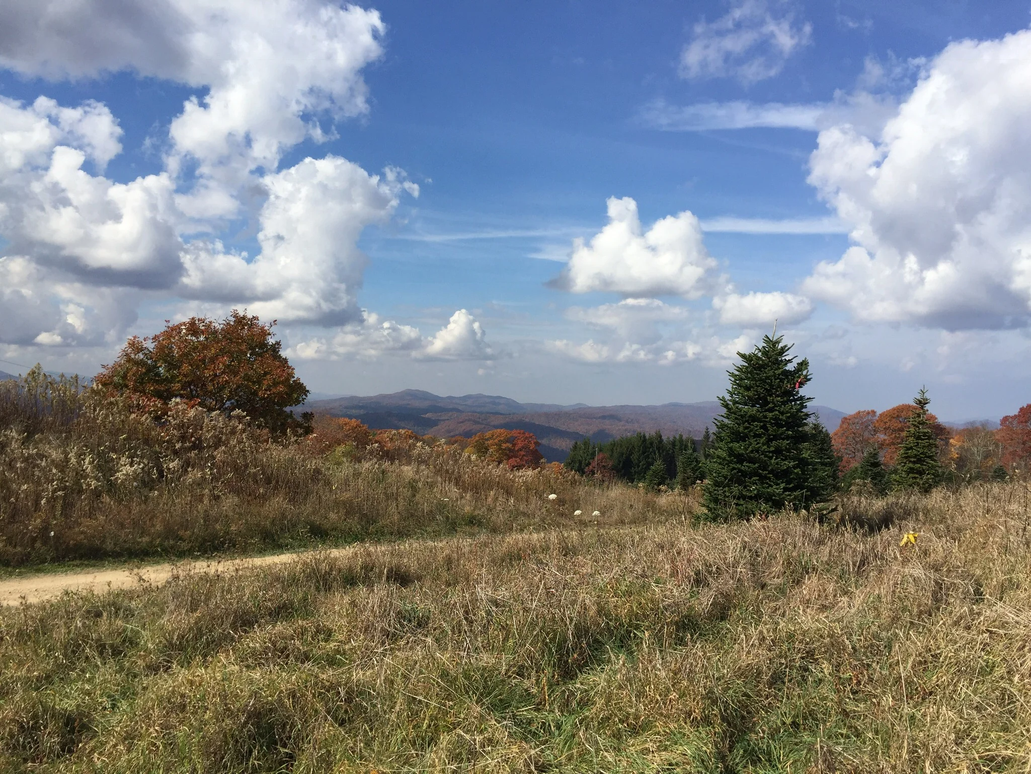 Until these roads lead you back 