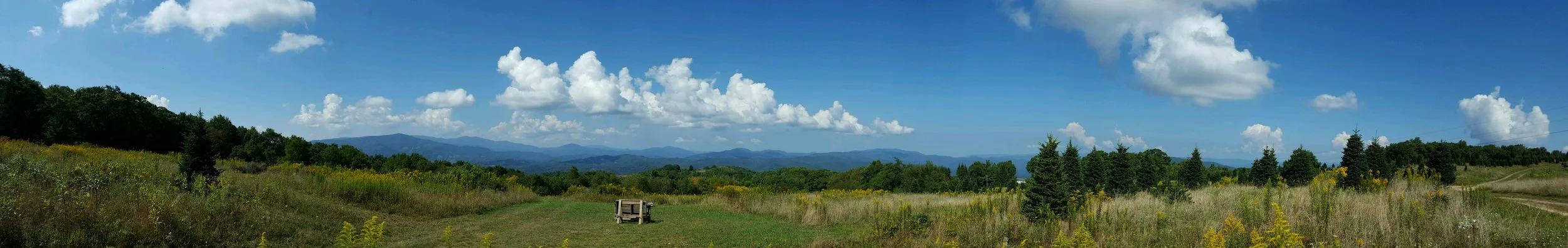 to enjoy this slice of heaven,