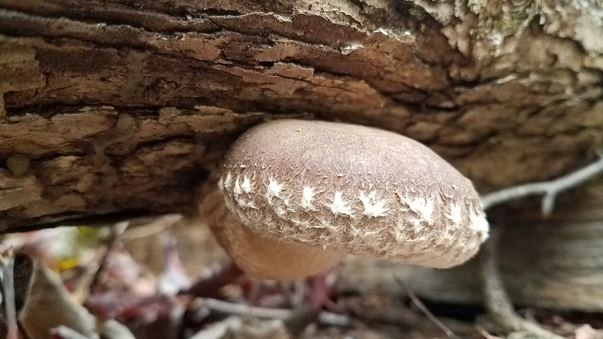 20181101_112048.jpg