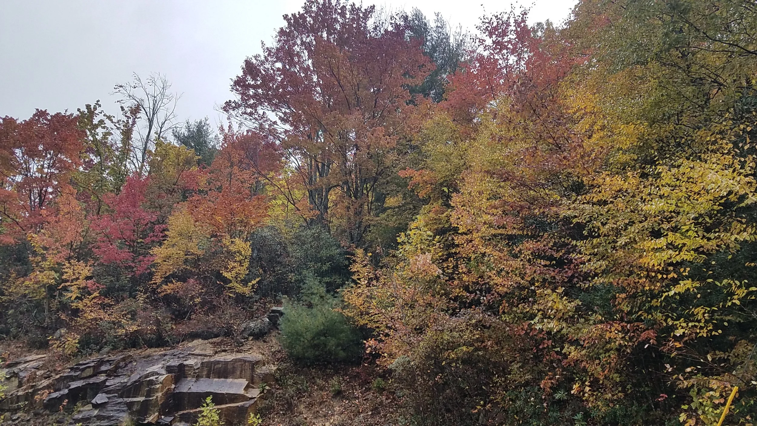 20181026_104010.jpg