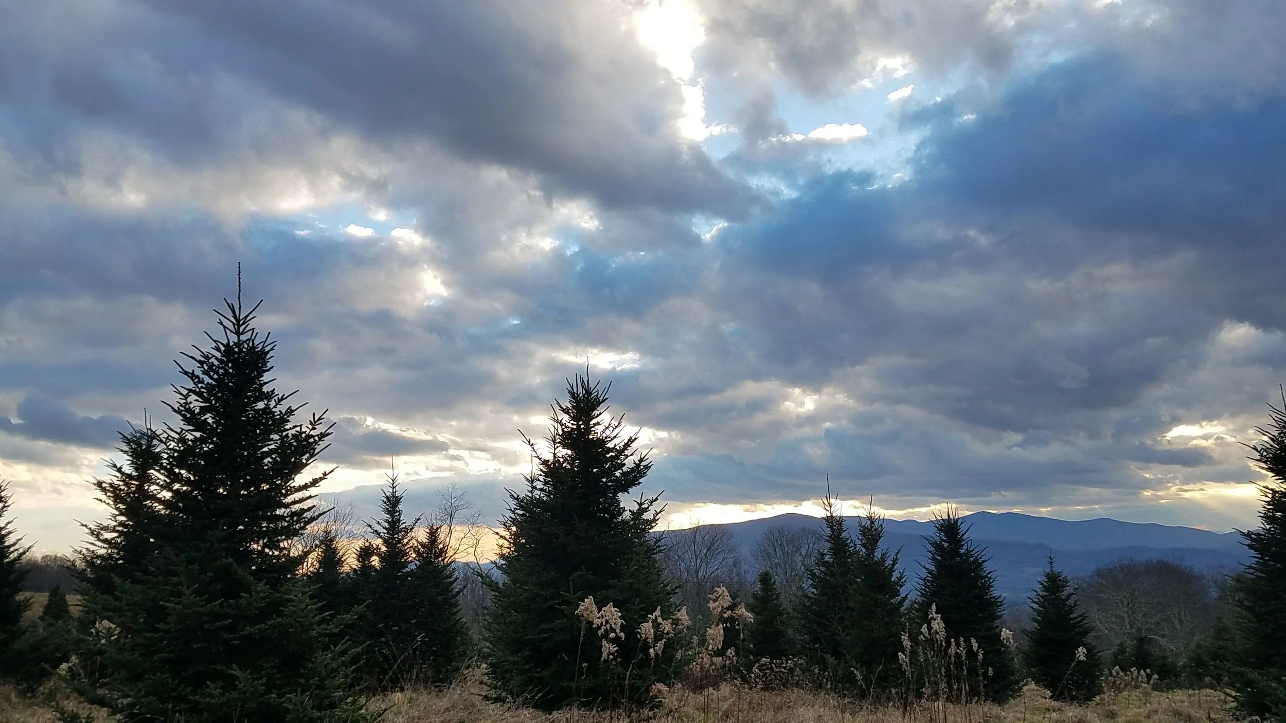 20181119_163535.jpg