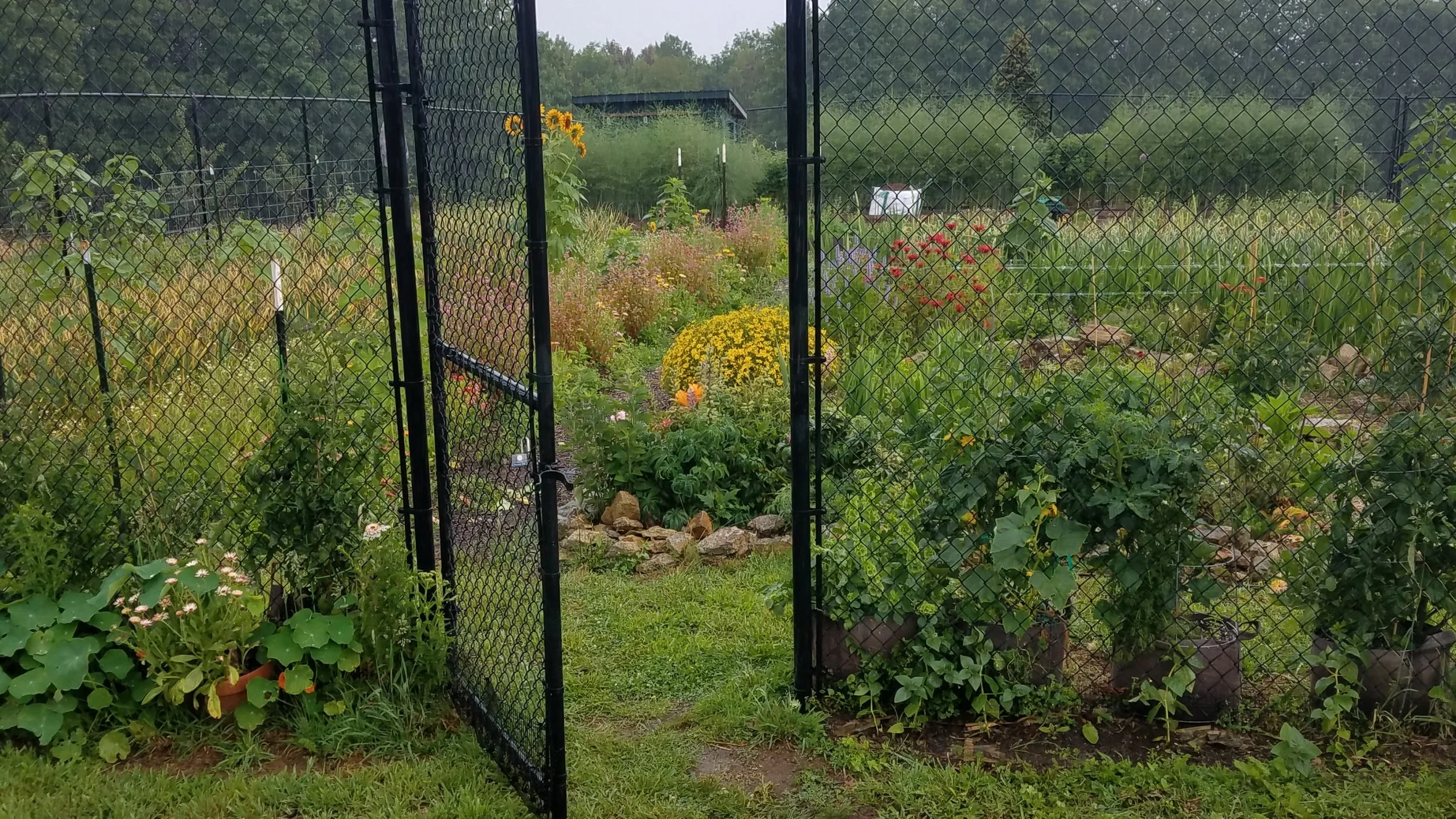 20190711_141450.jpg