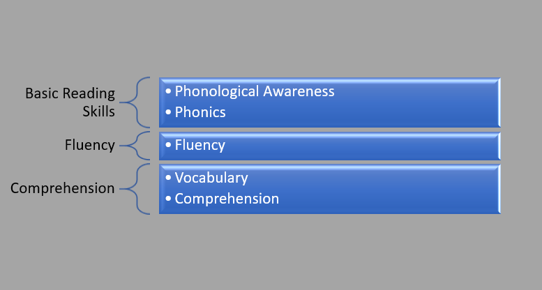 Reading Skills Matched to ETR Reading Disability Categories