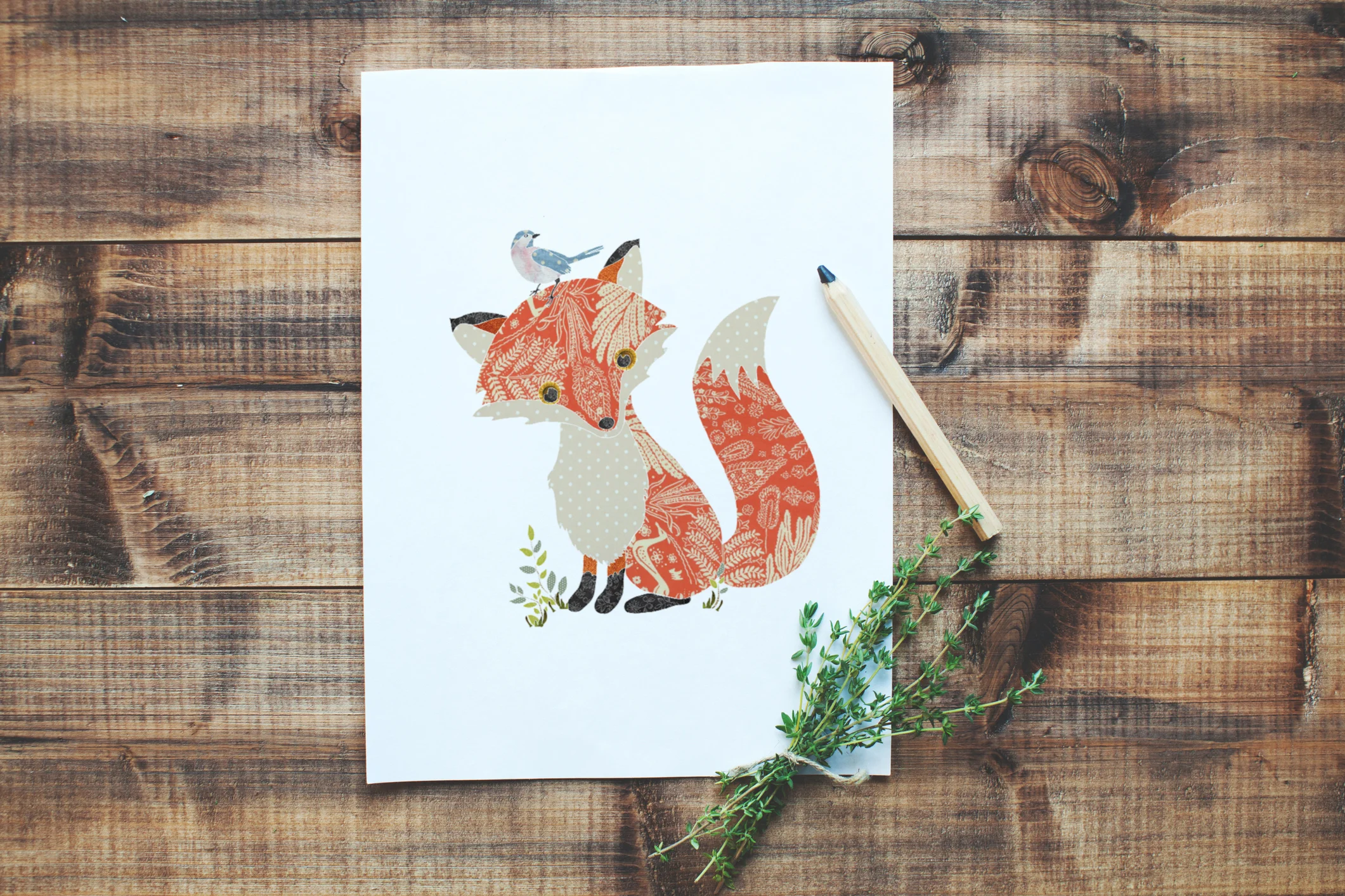 Fox-Art-Illustration-Curiously-Creative-NZ.jpg