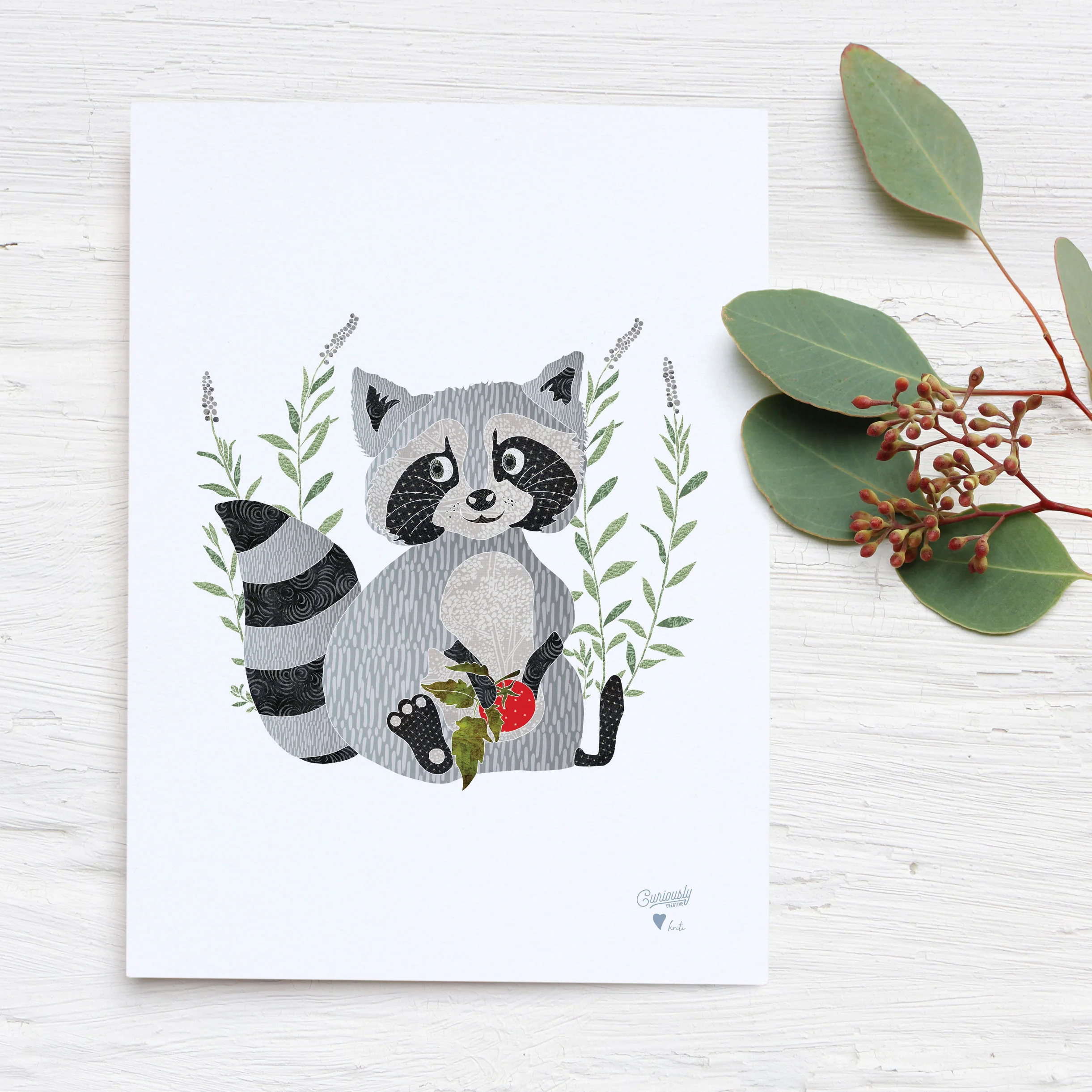 Raccoon-Art-Illustration-Print-Curiously-Creative-NZ.jpg
